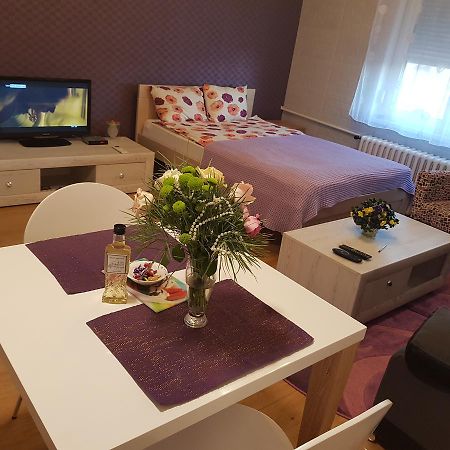 Sara - Modern Apartment In The City Center Újvidék Kültér fotó