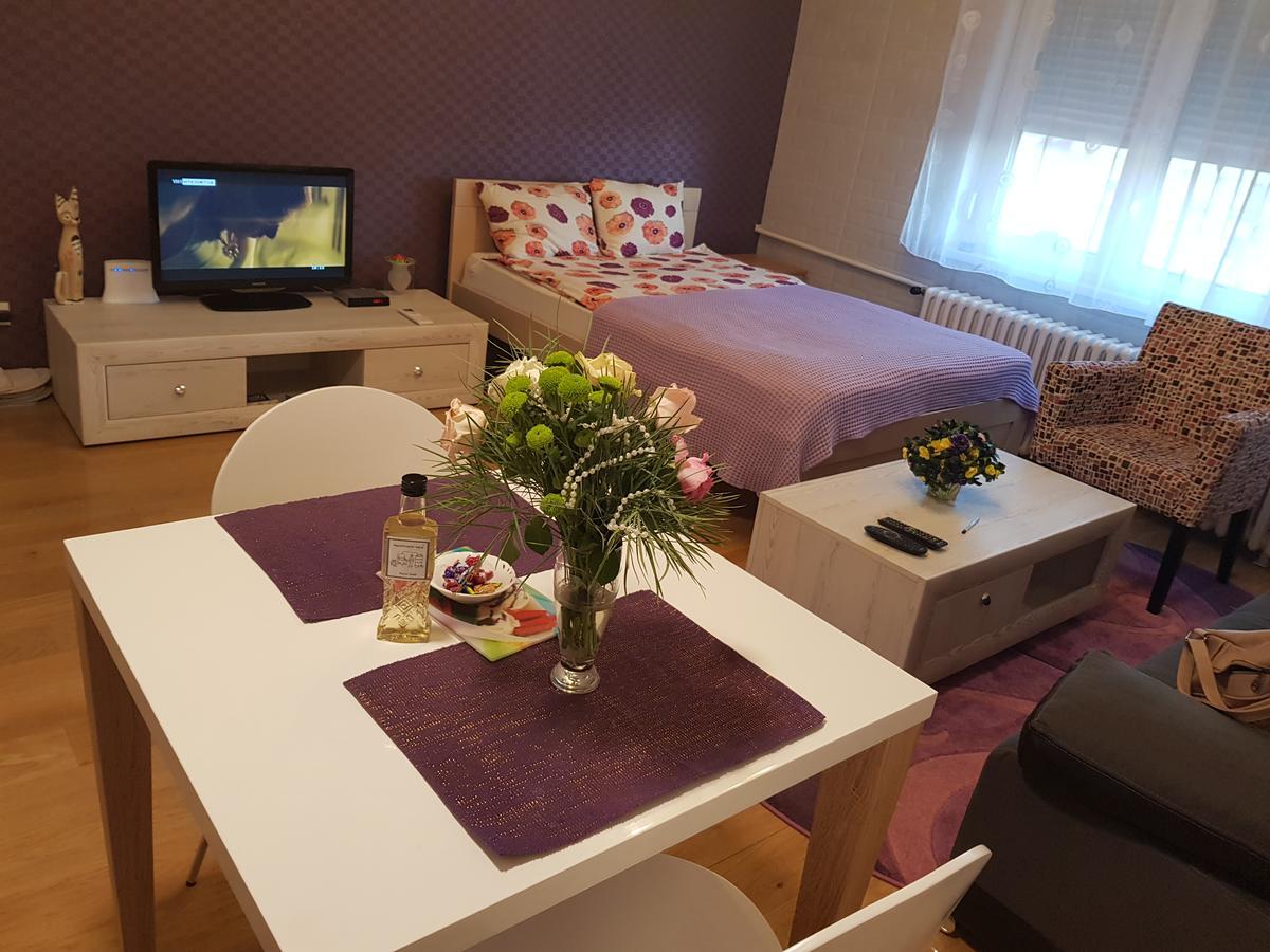 Sara - Modern Apartment In The City Center Újvidék Kültér fotó